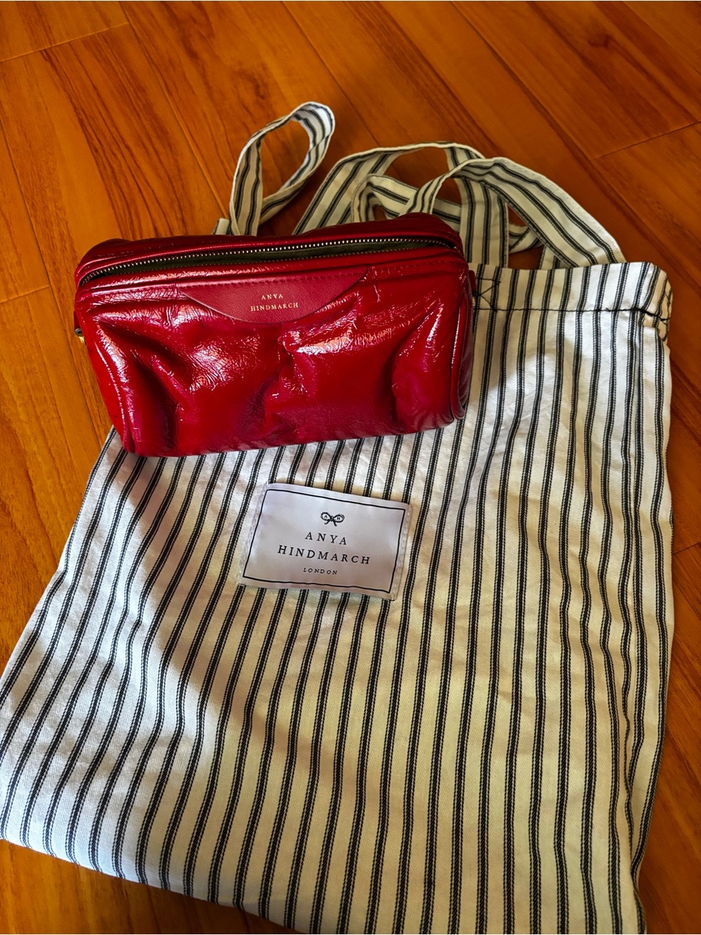 Anya Hindmarch Red Leather Crossbody Bag